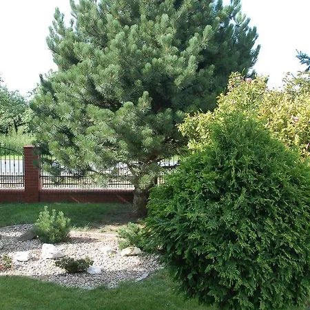 Apartament Zakatek Wroclawia Bielany Wrocławskie Exterior foto