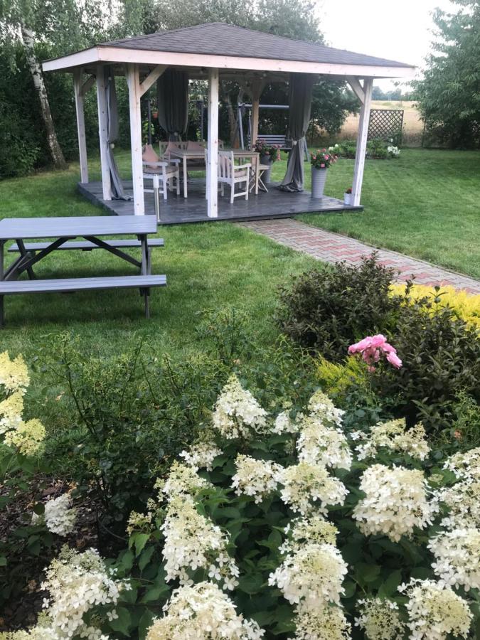 Apartment Zakatek Wroclawia